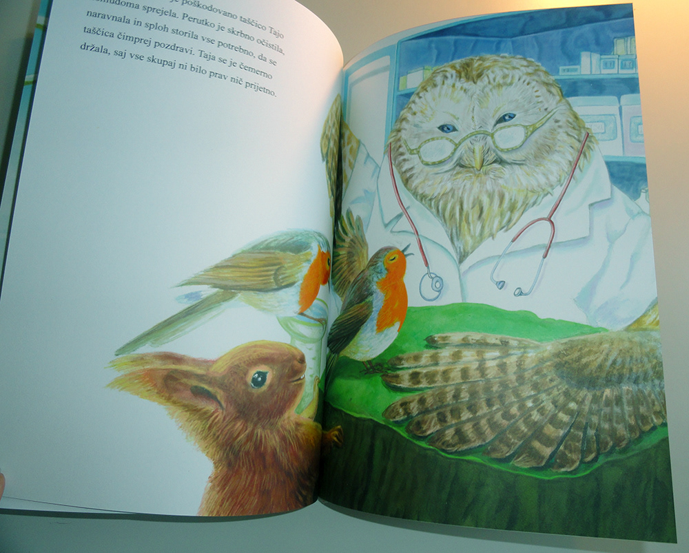 robin redbreast Picture book children's book slikanica Julia Doria european robin Erithacus rubecula  ILLUSTRATION 