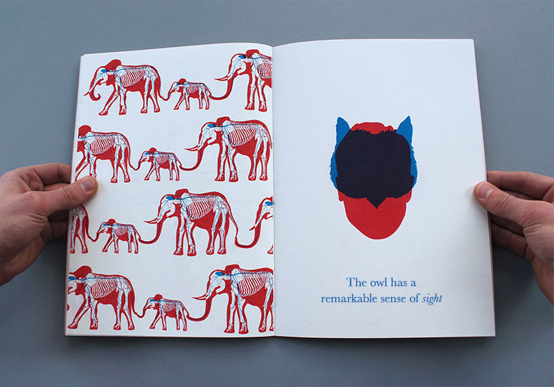 5enses senses infographics animals Sense educational book childrens book