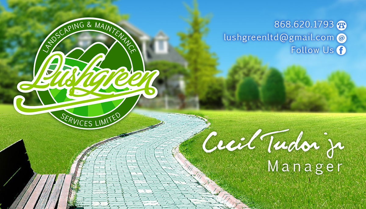 lush green Lushgreen Corporate Identity design package logo letterhead business card flyer Trinidad Artist Trinidad