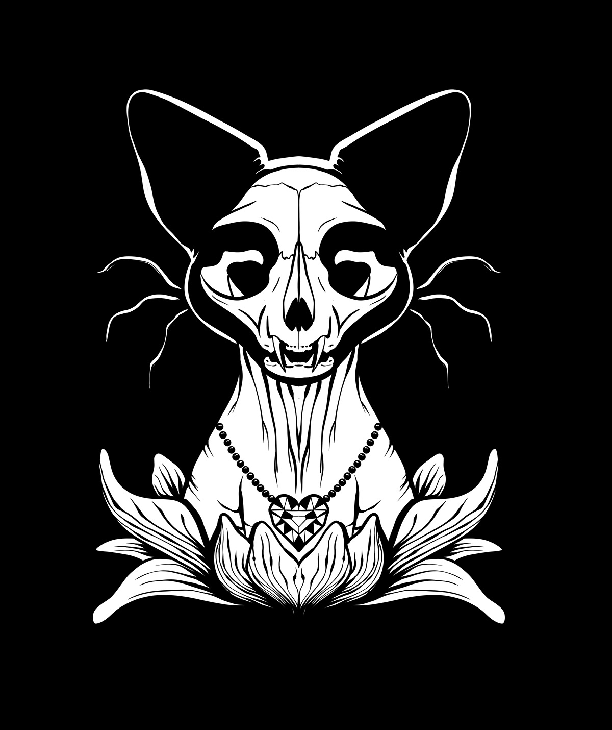 black and white Cat dark death goth hairless cat skull sphynx sphynx cat