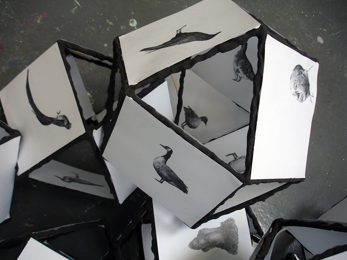 birds alfred hitchcock installation pravitas drawings cubes boxes