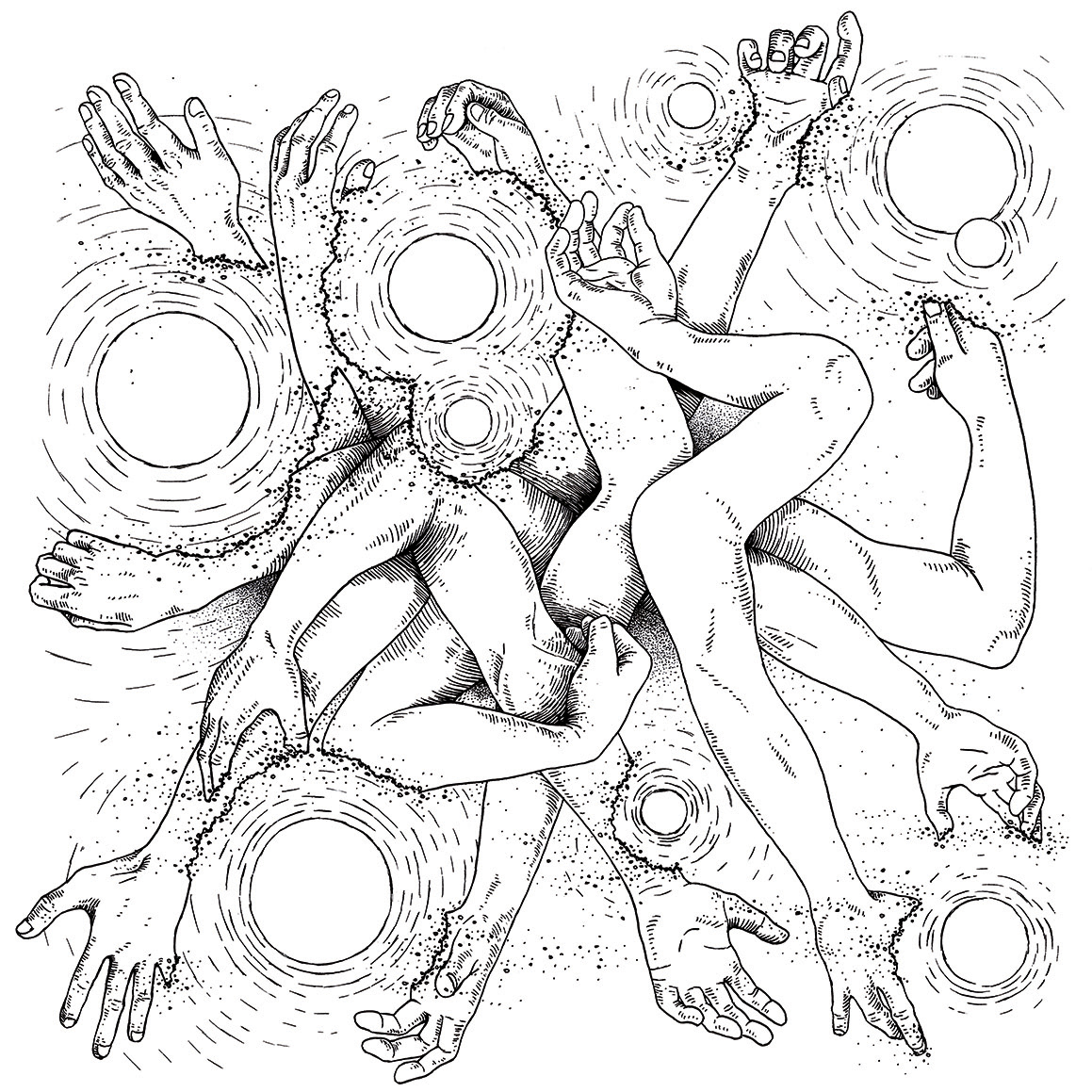 ILLUSTRATION  anatomical drawing handdrawing vinyl coverdesign