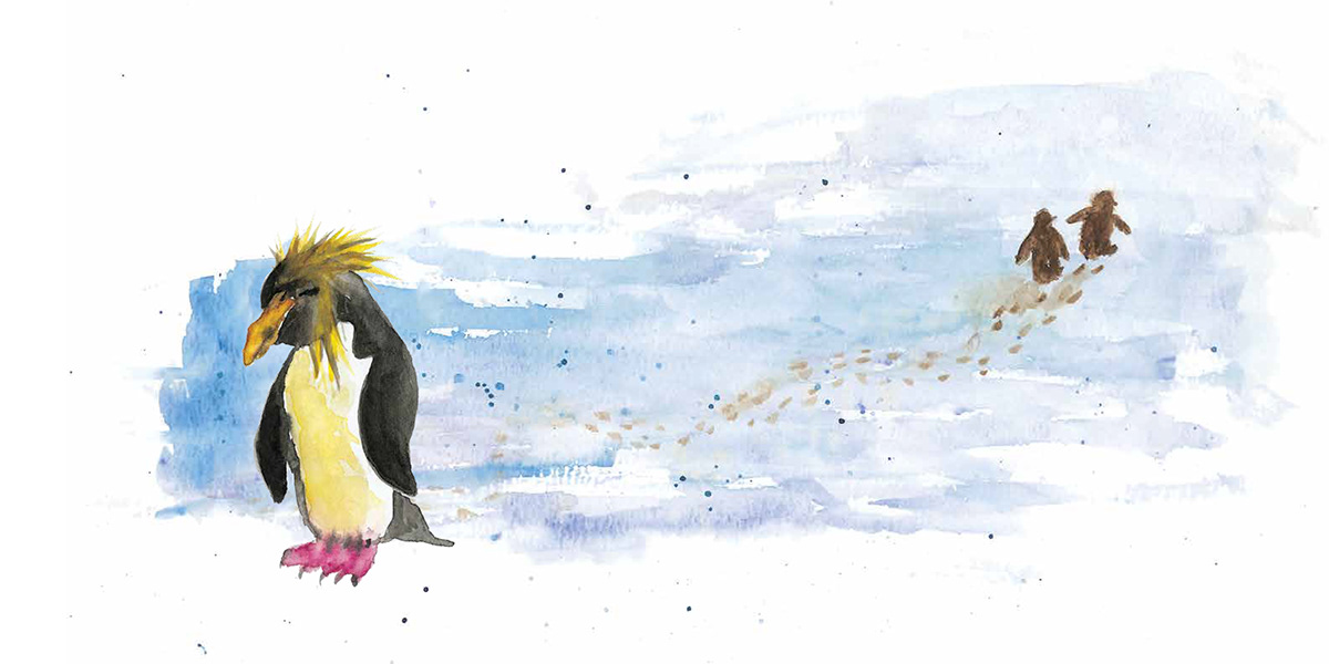 animal art book animal book illustration book character book illustration feathered friends penguin art watercolor artist watercolour illustration watercolour penguin