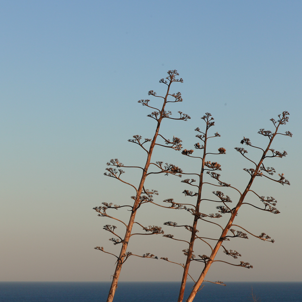 Adobe Portfolio Photography  Minimalism Portugal Algarve minimalist photography fine art Nature beach sea