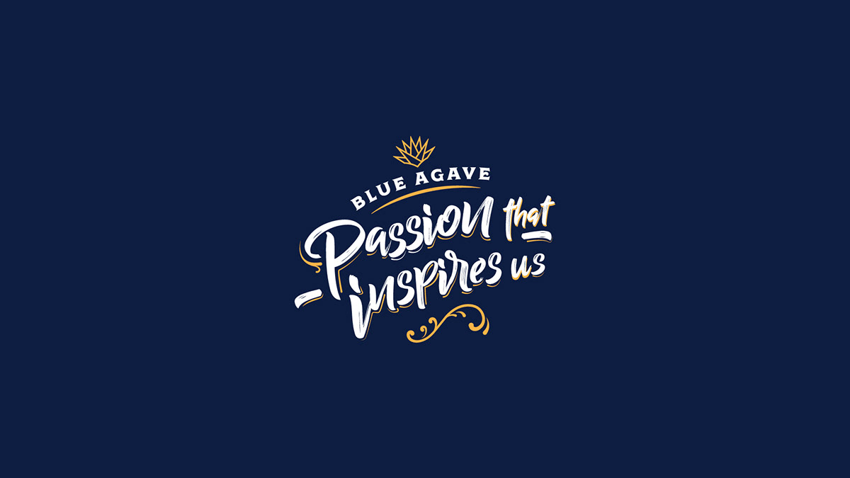 agave branding  ilustracion social media Web