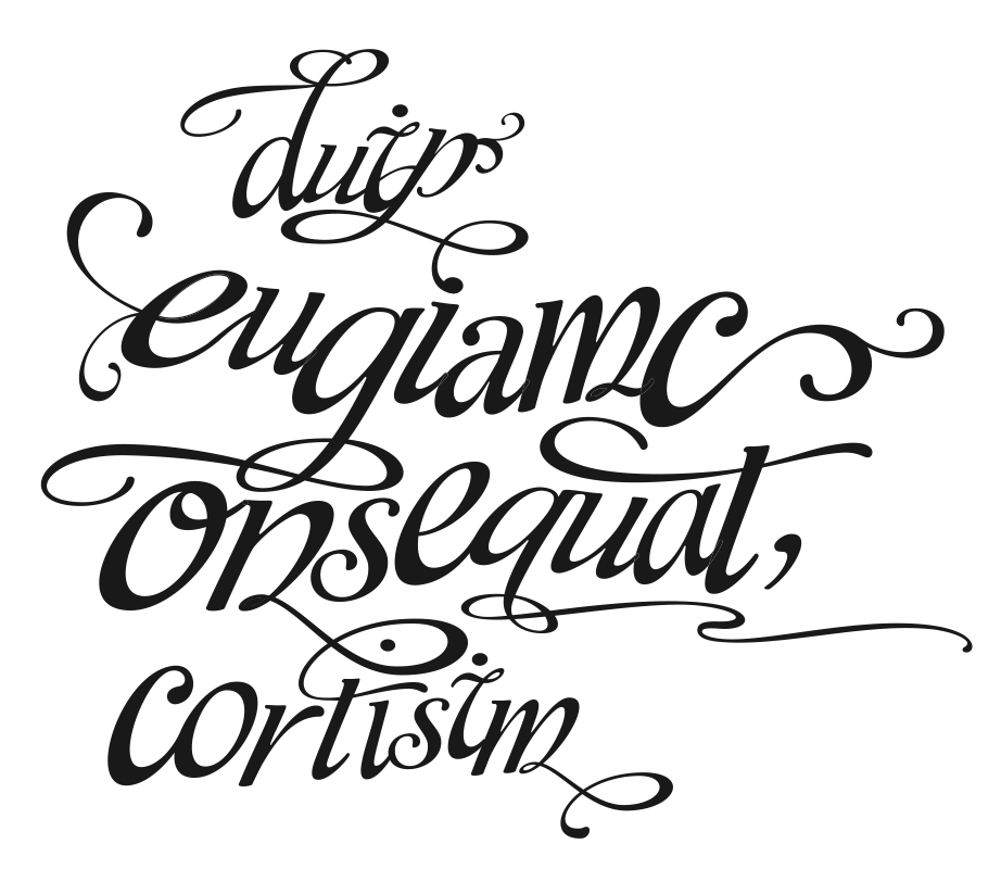 type brand Script font collage calligraph flourish swash pretty letter lettering wieden ornate hand graphic