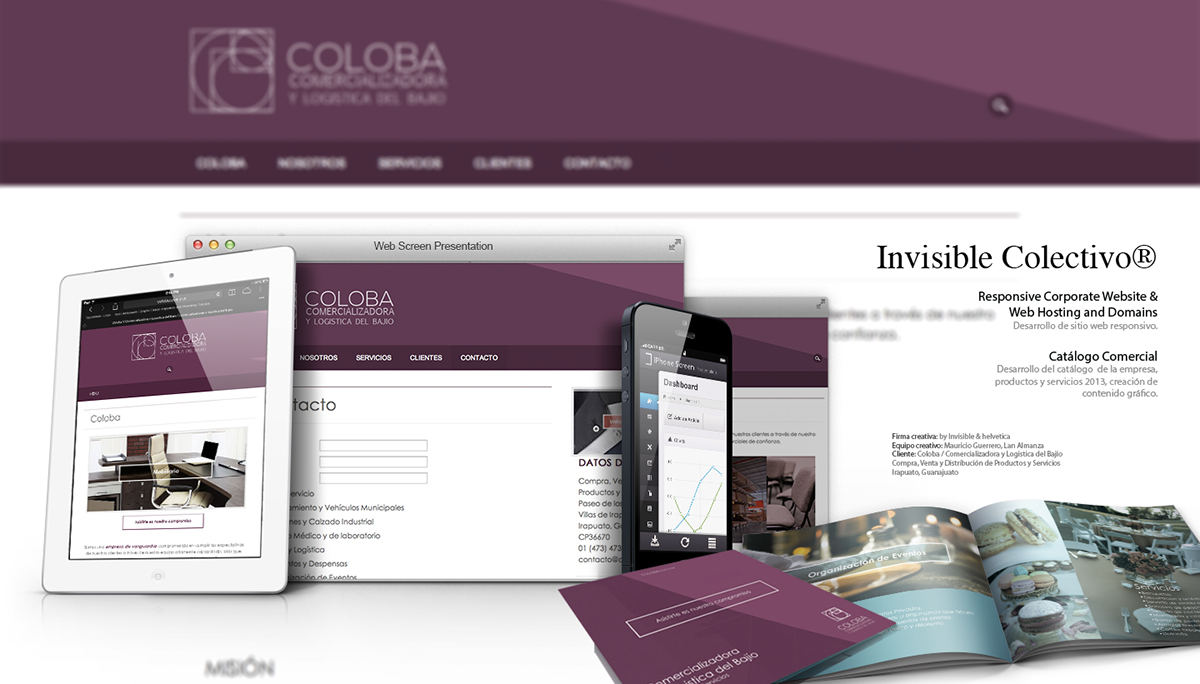 design Guanajuato brochure pitchbook Responsive Website contruction