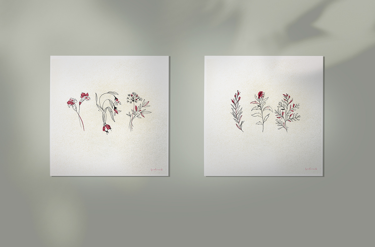Adobe Photoshop art artwork botanical Digital Art  digital illustration Drawing  Flowers ILLUSTRATION  Procreate