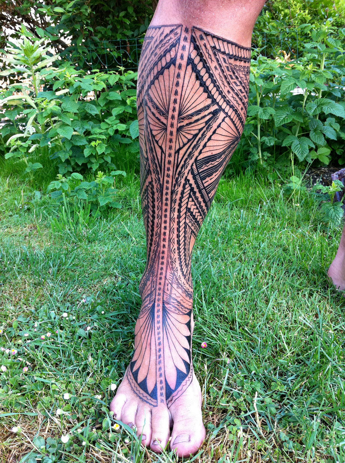 traditional tattoo Samoan Suluapedesign Tatau-samoa Sulu`ape tatau Modern Samoan tribal Tomasi Suluape