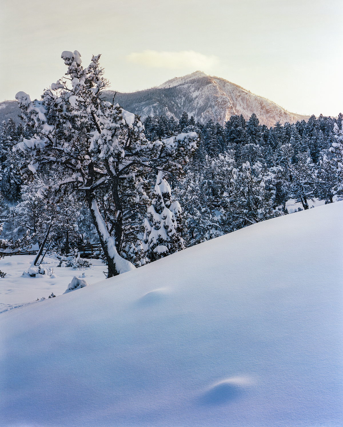4x5 analog film photography Landscape large format Mammoth Hot Springs national parks winter Yellowstone