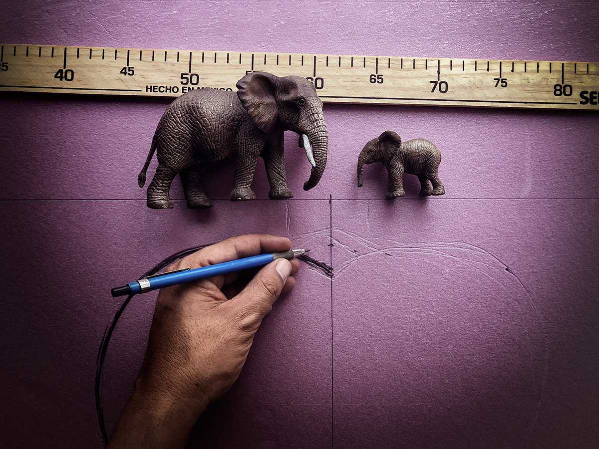 Nature Creative Photography toy photography heratbreak elephants wild wildlife
