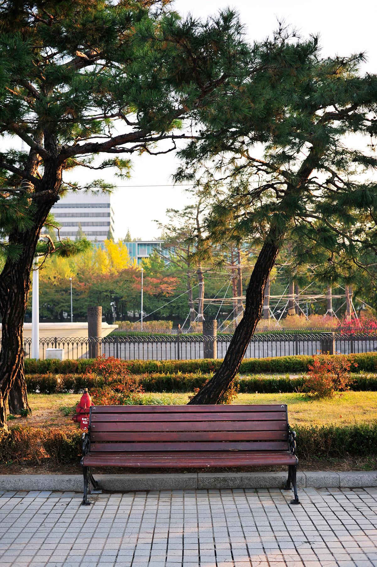 bench world  Travel Korea china singapore taiwan kenya Thailand san francisco California africa asia chairs Landscape