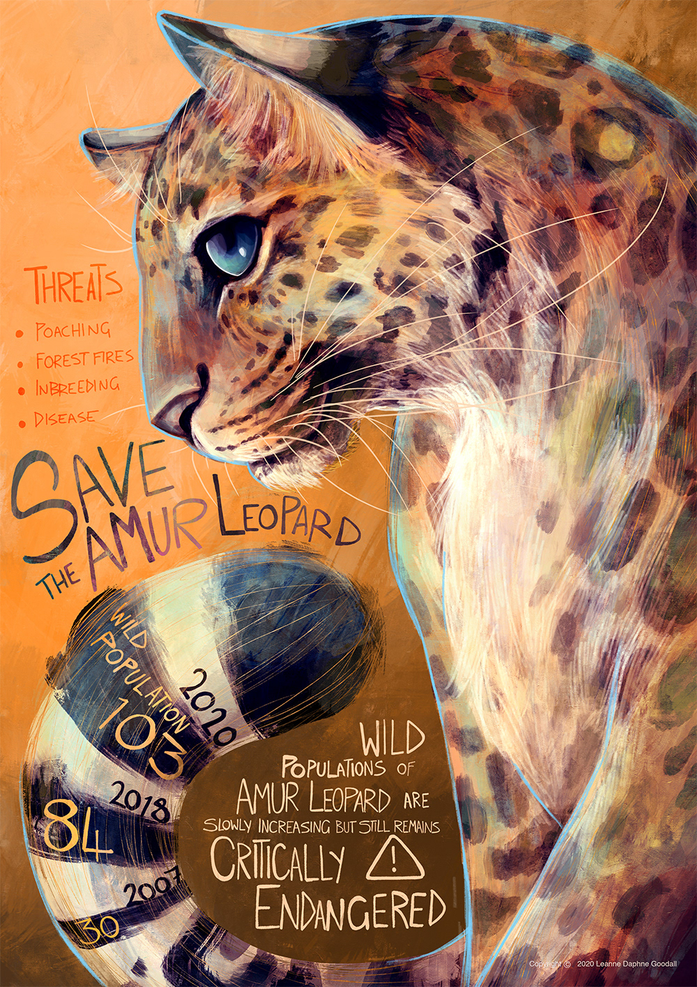 animals cats endangered Illustrated Inforgraphic Inforgraphic leopard tiger wildcat