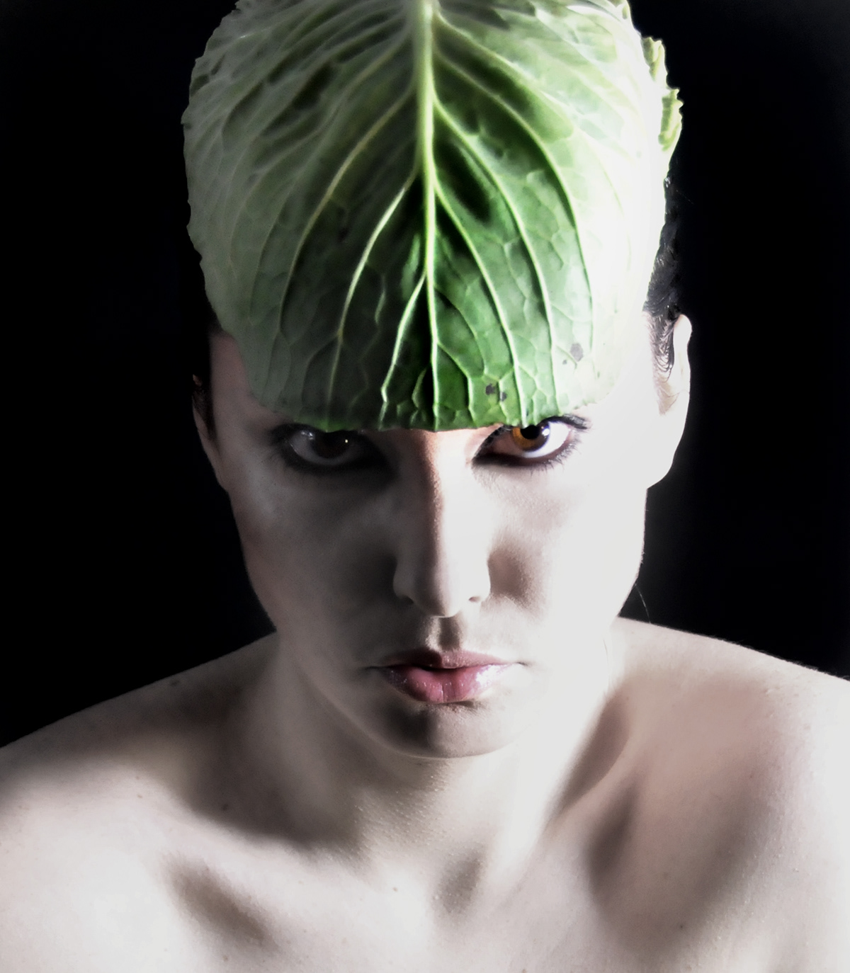 photoshoot cabbage organic