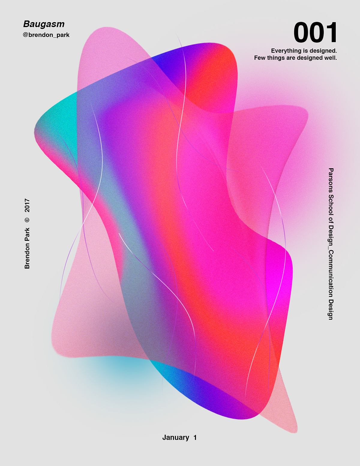 Baugasm ILLUSTRATION  geometrics poster graphic design  design parsons The New School print adobeawards