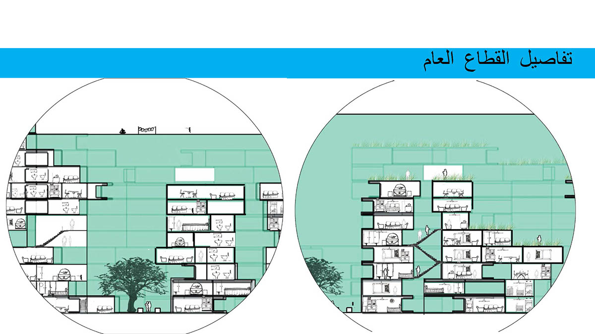 housing egypt parallel research