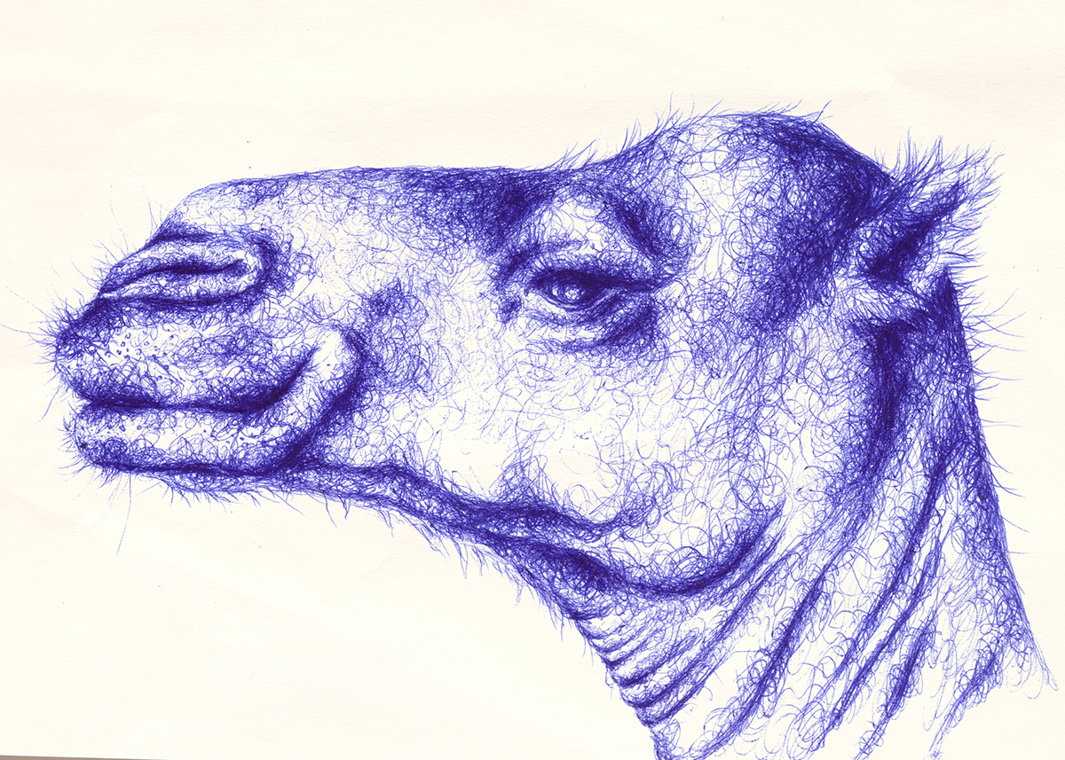 pen ballpoint pen animales fauna camello camel goat cabra blue ballpoint lapicero azul animal giraffe realistic mamíferos mammals
