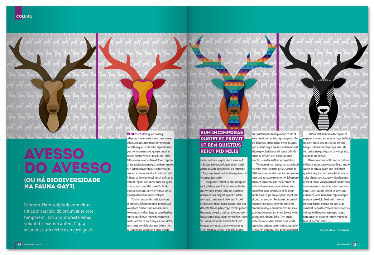 junior gay publication redesign editorial magazines homossexual colorful