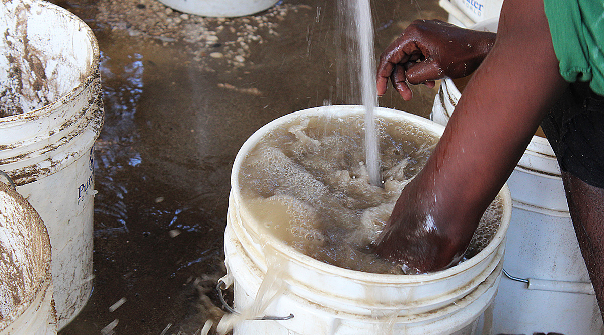 #haiti #WaterFilters #aiga   #BGSUGD #PureWaterForHaiti