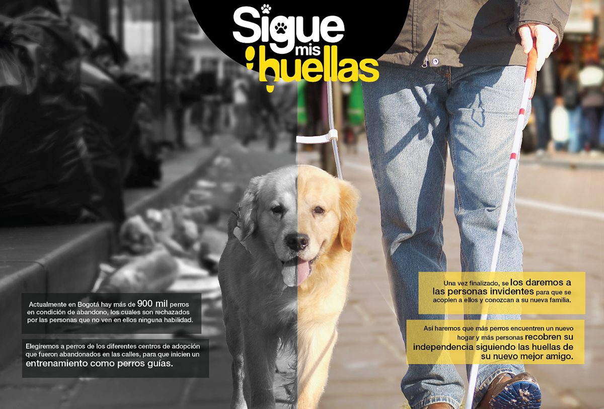 adopción Invidentes perros adoption blind dogs Campaña Social