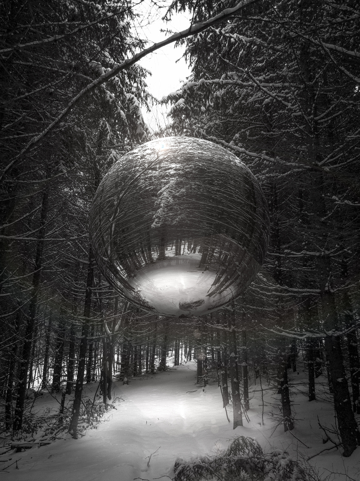 sphere forest solitude snow mercury mirror ball woods