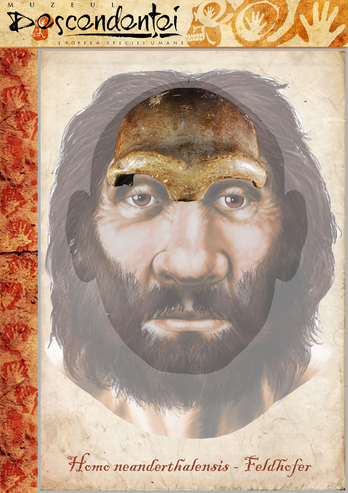 homo neanderthal feldhofer evolution human sahelanthropus ardipithecus kenyanthropus paranthropus habilis erectus ergaster antecessor heidelbergensis Lucy