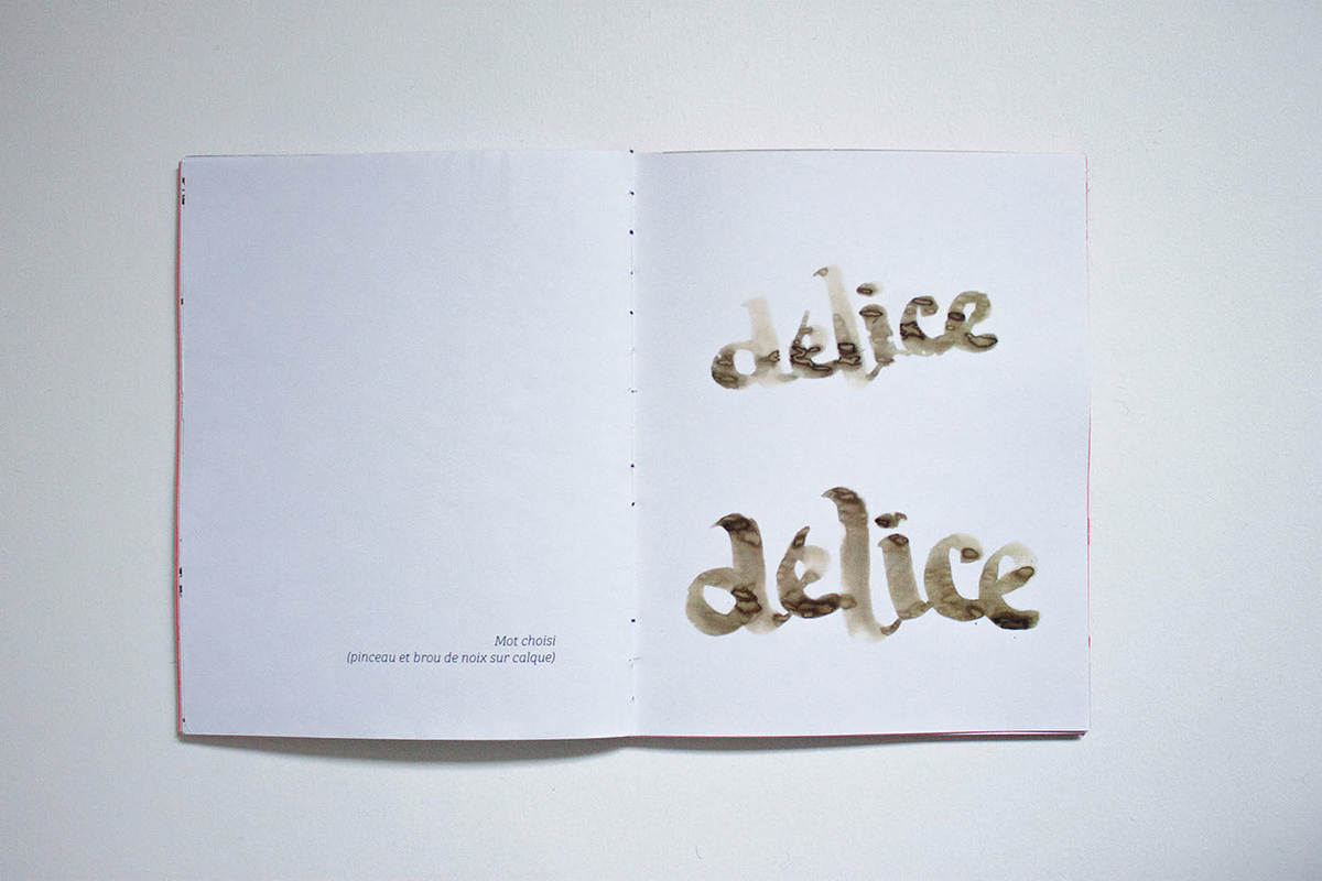 type Typographie Booklet delice DELIGHT