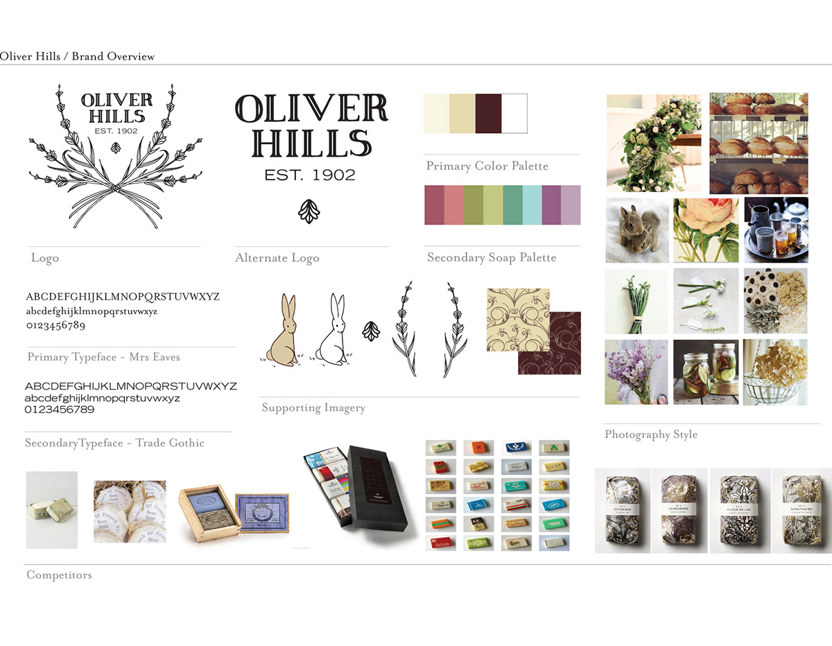 Oliver Hills Identity Design systems Brand Standards lettering Candace Urquiza MICA