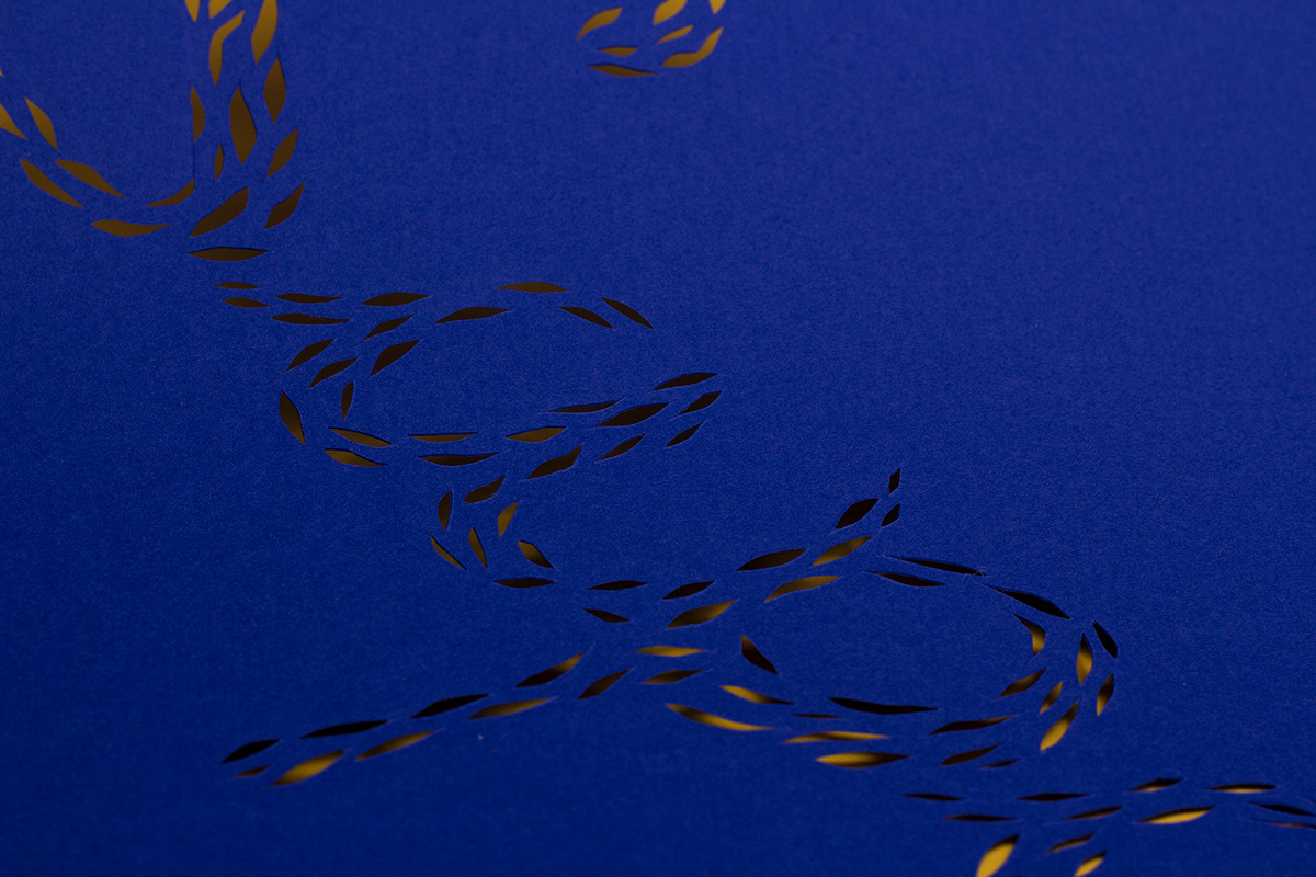 barilla brand tangiblebranding papercutting Sapore Grano blu cut type