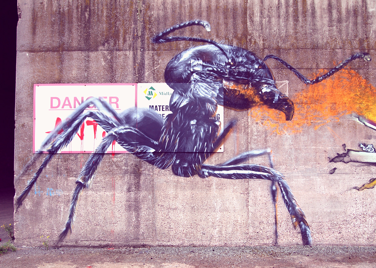 Pyro duper  ziner Giant Ants