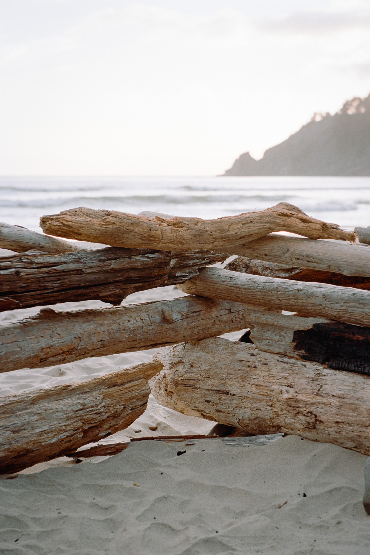film photography 35mm Nature Landscape Oregon beach sunset summer