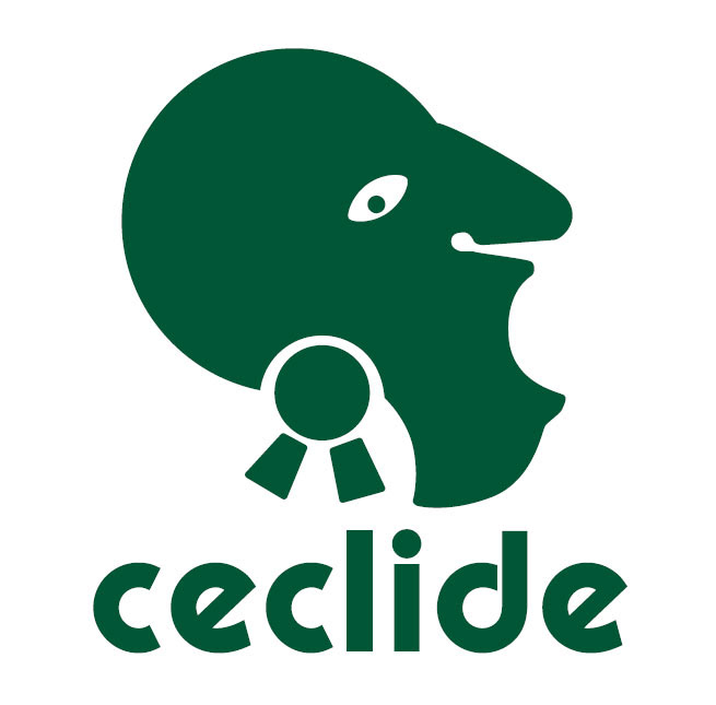 CECLIDE webpage redesign