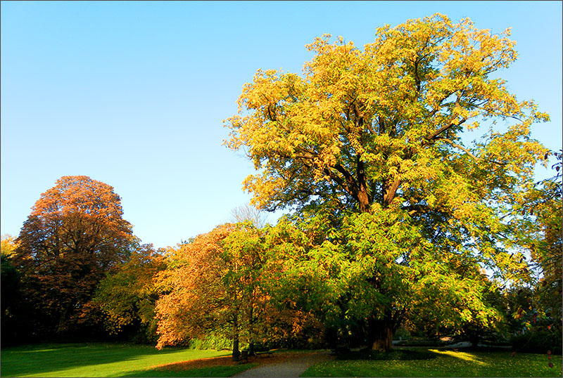 Adobe Portfolio Landschaft Herbst