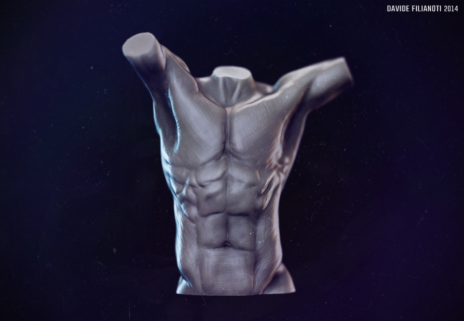 human anatomy Zbrush compositing photoshop rendering