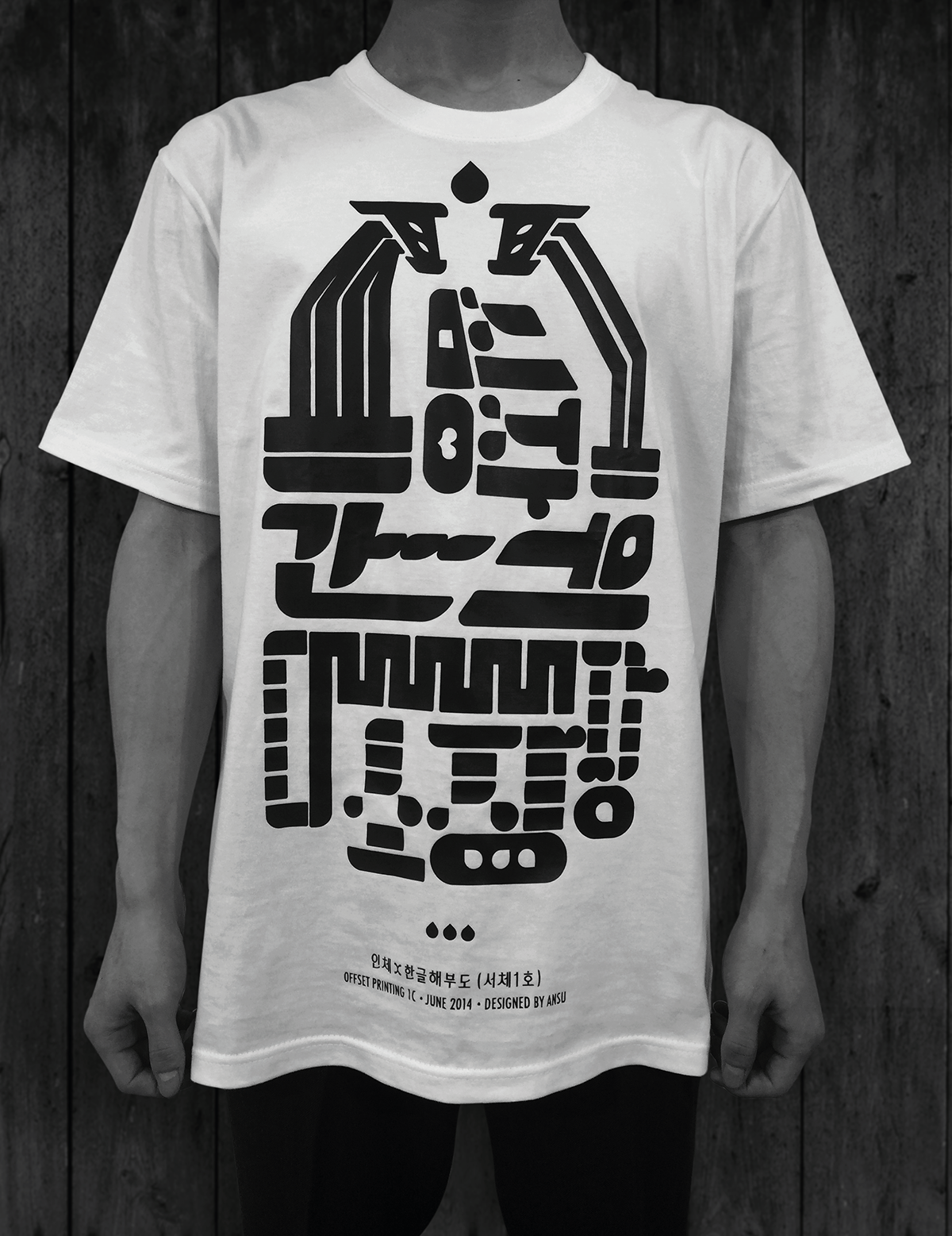 Hangul Korea korean ansu typo Typeface organs poster t-shirt