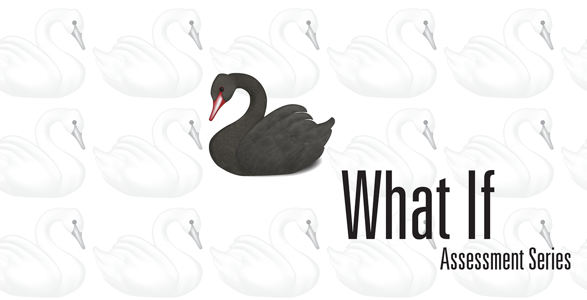 swans political science black swan feathers pattern bird birds international relations chaos