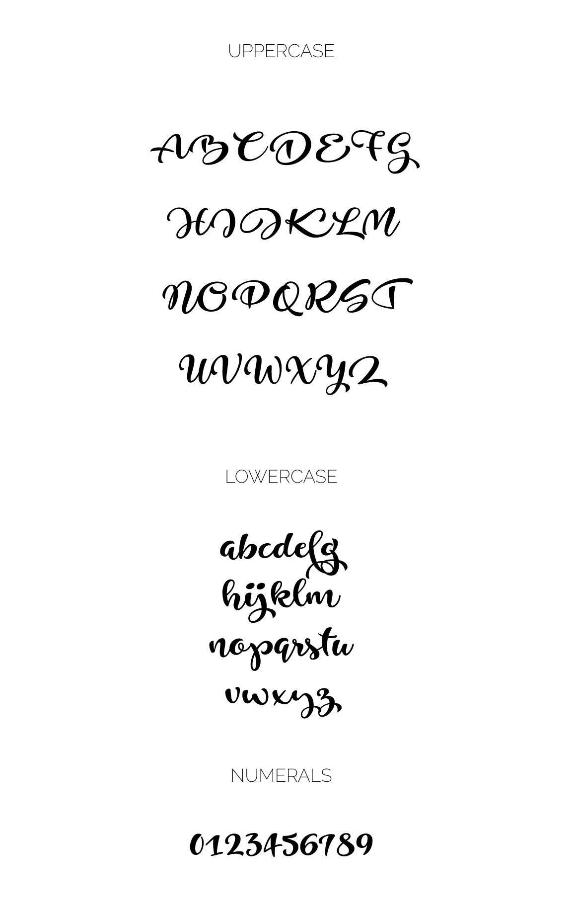 free freebie font fonts Script handwritten logo branding  typography   cool