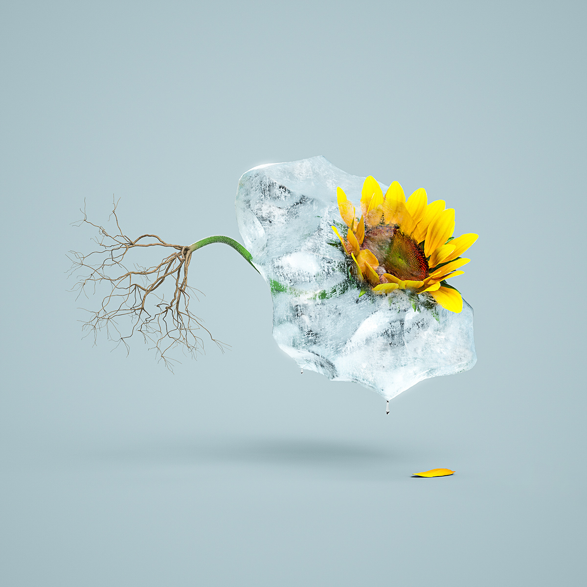 winter ice rendering CGI design art Nature