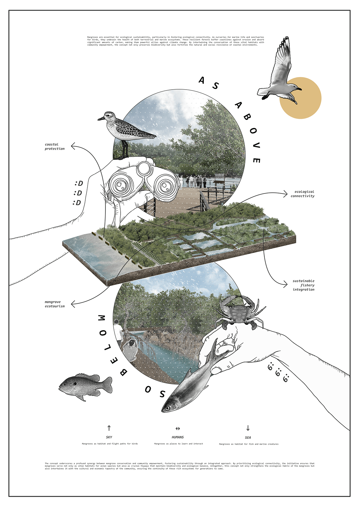 ecological design mangrove Landscape Architecture  Sustainable Design fisheries ecotourism coastal design migratory birds conservation