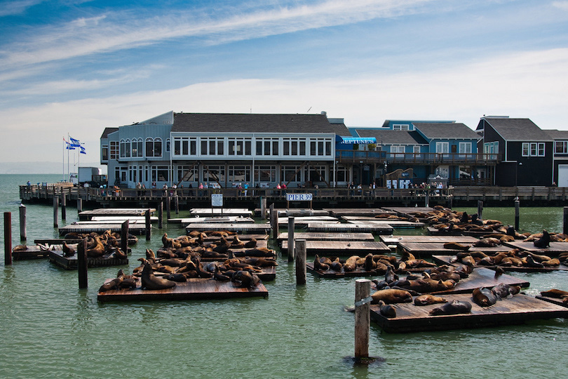 Fisherman's Wharf