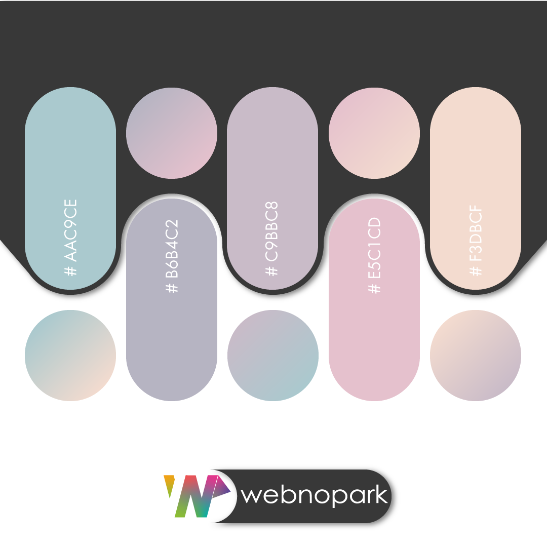 renk color Palet palette UI ux design tasarım Web Illustrator