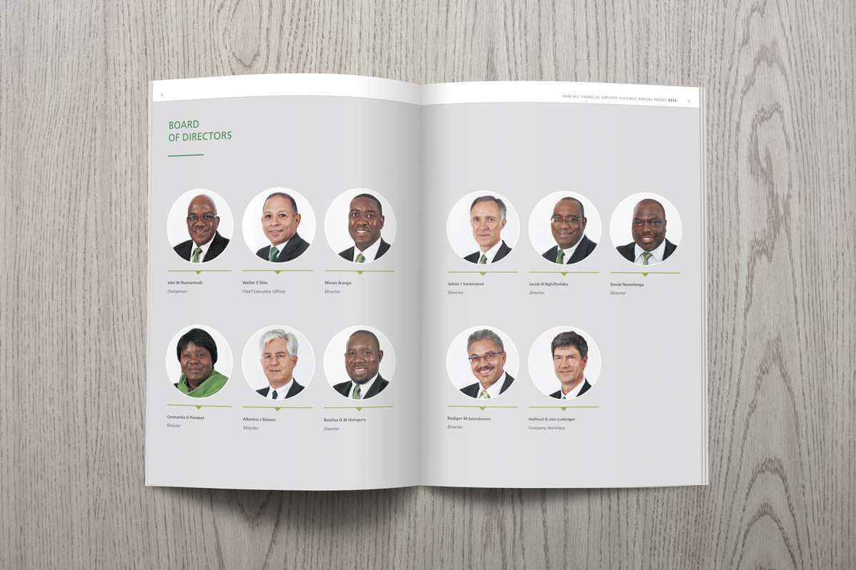 annual report Layout Design