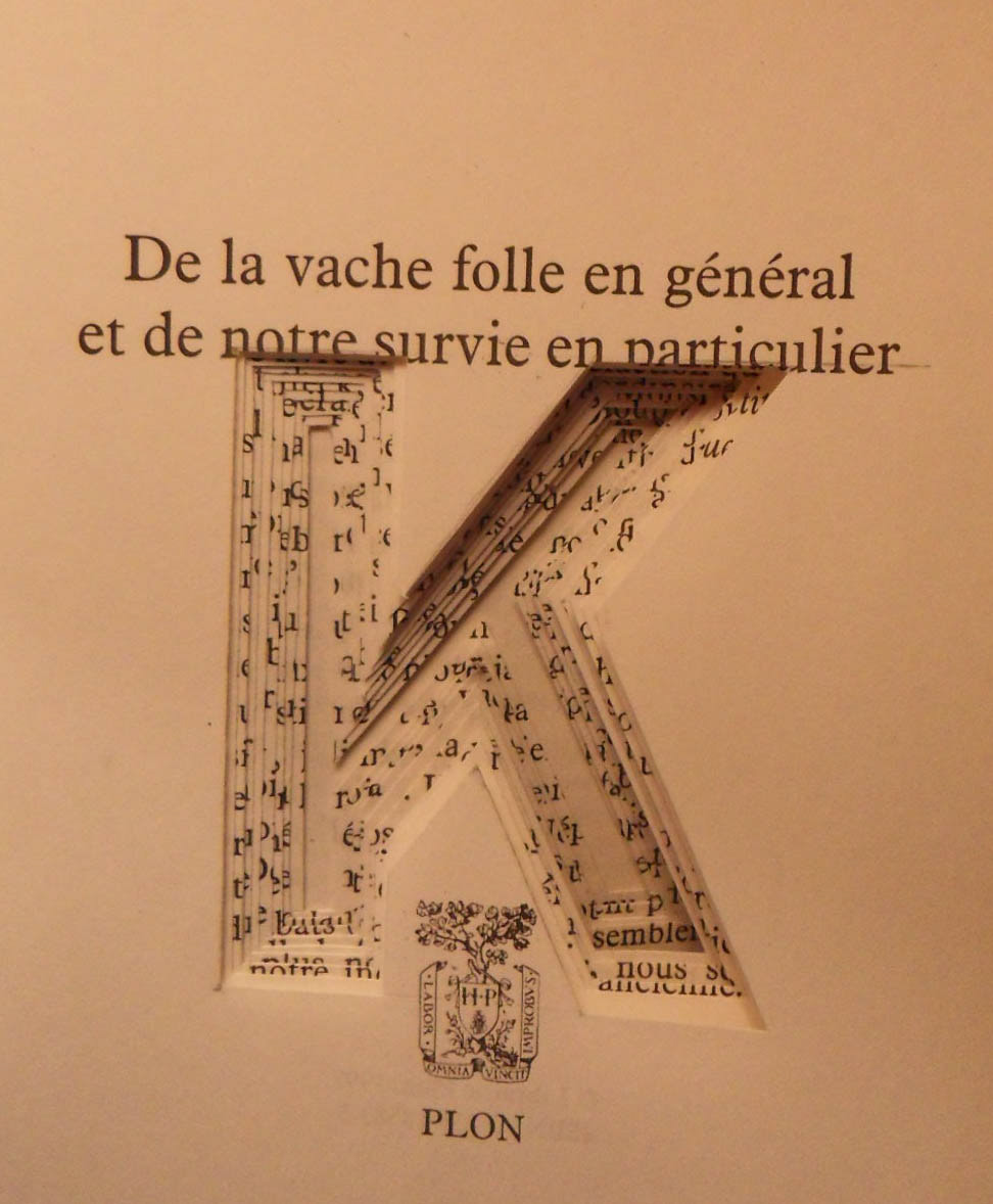 livres découpes tipographie alphabet
