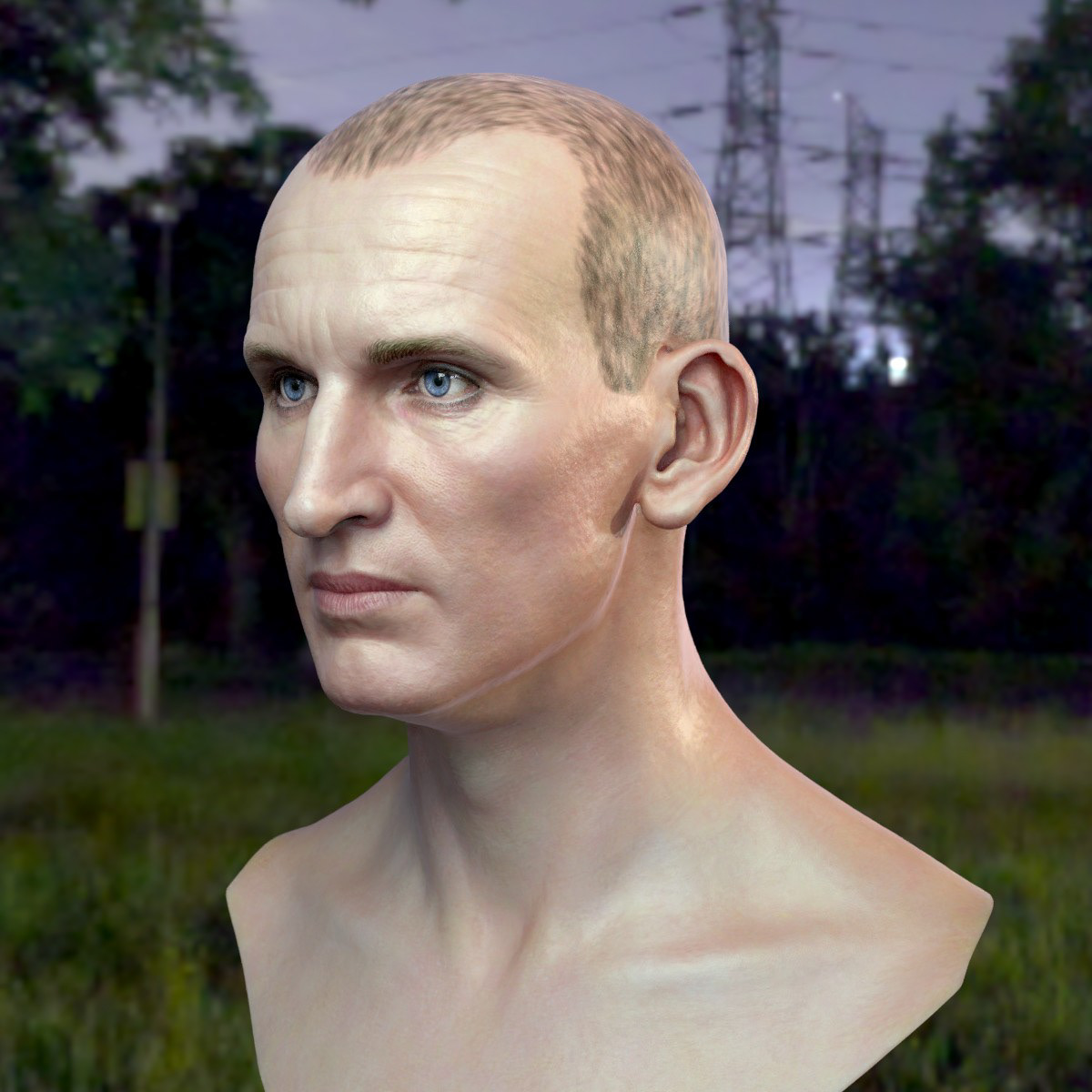 3d model Christopher Eccleston head