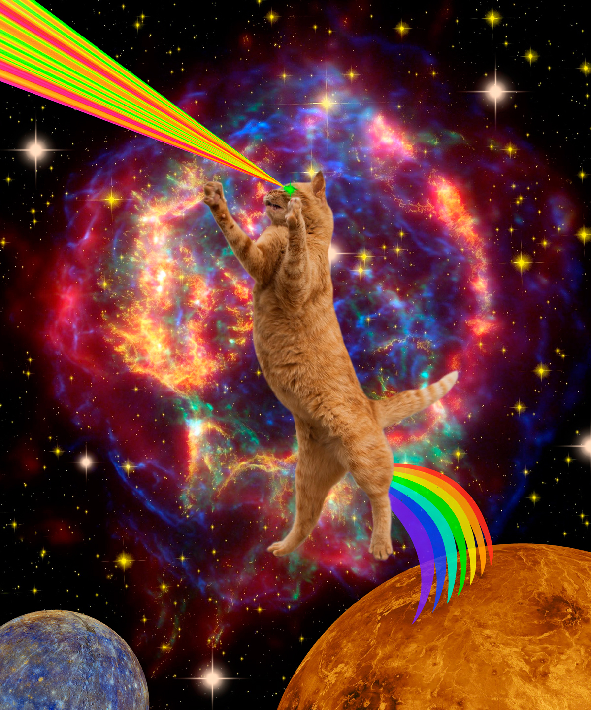cats Space  outer space cat lovers surreal Digital Collage Sci Fi futuristic animals funny