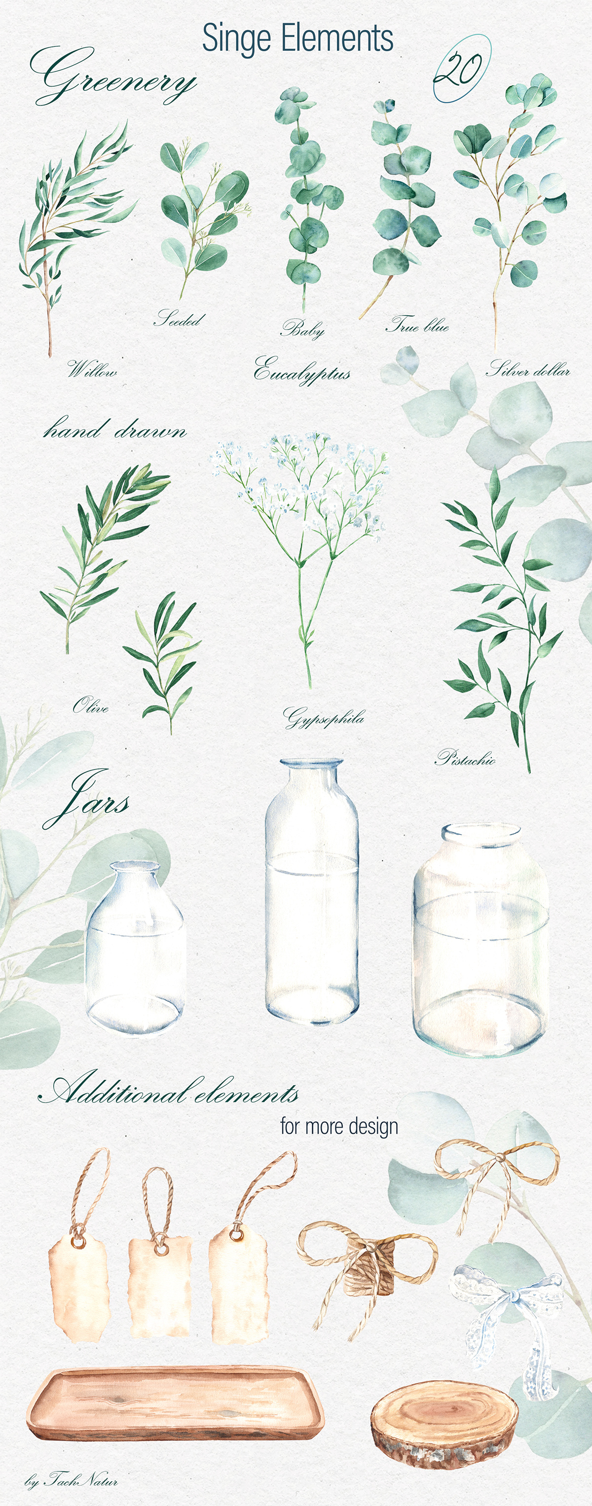 watercolor illustration hand drawn greenery glass Vase clipart floral botanical Nature eucalyptus