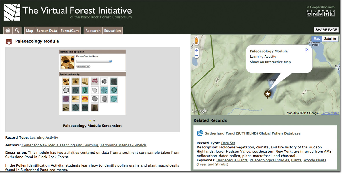 Education forest social portal Data