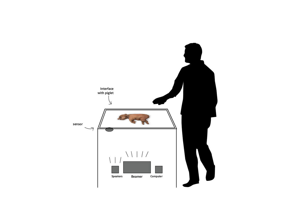 pig interactive push animal farming