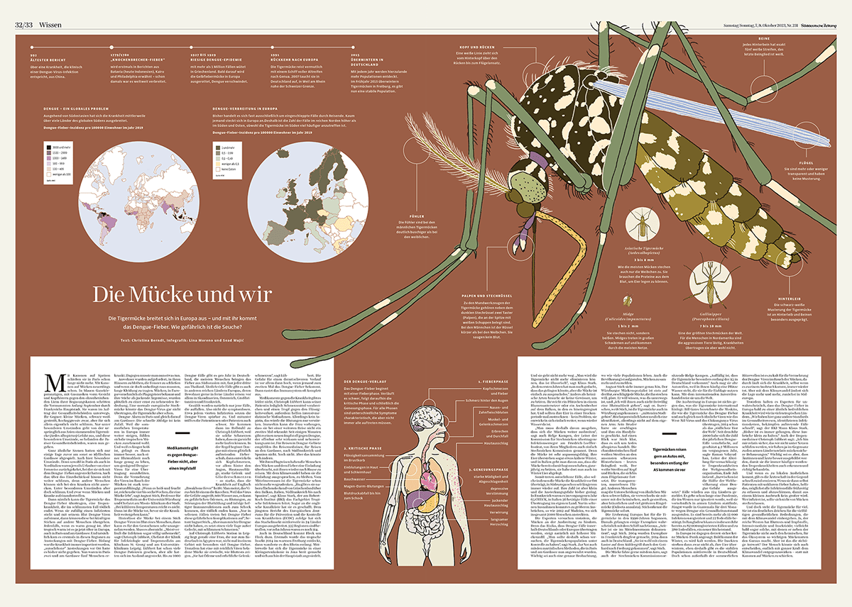 dengue fever infographics newspaper design journalism   science infographic Layout editorial design  InDesign tiger mosquito