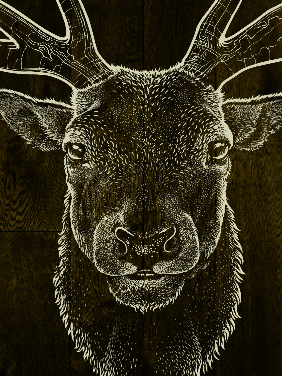 taxidermy art illustrations Blade horns buck Sos goods deer beer antlers